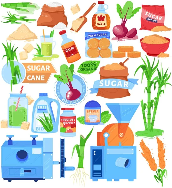 Rietsuiker product vervangt vector illustratie set, cartoon platte landbouw collectie van suikerriet, suikerbieten en suikerhoudende voedselingrediënt — Stockvector