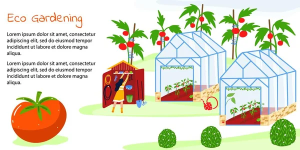 Eco jardinería en invernaderos granja concepto plano vector ilustración, caricatura pequeña mujer agricultor jardinero carácter trabajando con herramientas de jardín — Vector de stock