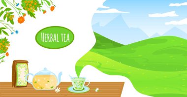 Doğal bitkisel çay vektör illüstrasyonu, çizgi film düz cam çaydanlık çaydanlık, paket ve papatya çiçeği içeren çay fincanı sıcak içecek bırakır.