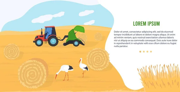 Agricultura maquinaria vector ilustración, dibujos animados plana agrícola tractor agrario transporte pajar paca de heno, banner de cosecha — Vector de stock