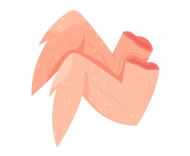 Kırmızı et, sığır filetosu, barbekü pirzolası, çiğ patron dilimi, kesilmiş domuz eti, beyaz, tasarım, düz stil vektör çizimi..