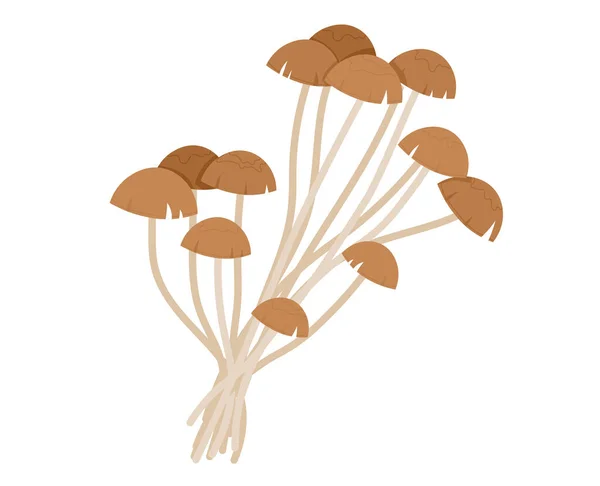 Foresta di funghi, cibo autunnale, collezione di funghi, ingrediente bianco più scuro isolato su bianco, disegno, illustrazione vettoriale in stile piatto — Vettoriale Stock