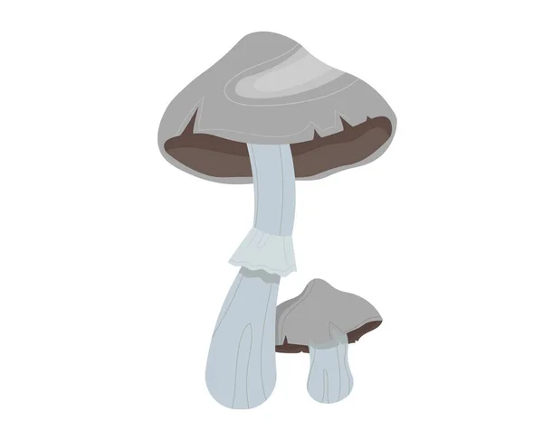 可食用的天然蘑菇，森林背景，秋季伞形集，隔离于白色，设计，扁平的矢量图解. — 图库矢量图片