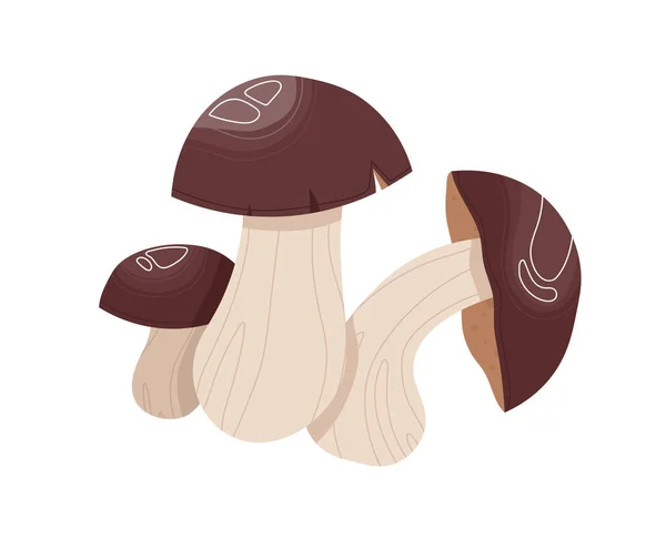 Paddestoel plant, gezond voedsel, biologisch ingrediënt vers, natuurlijke voeding geïsoleerd op wit, ontwerp, vlakke stijl vector illustratie. — Stockvector