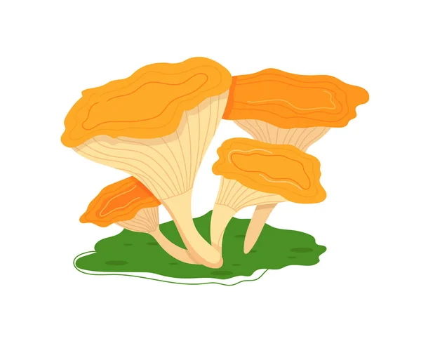 Forêt de champignons, nourriture d'automne, collection de champignons, ingrédient de darner blanc isolé sur blanc, design, illustration vectorielle de style plat — Image vectorielle