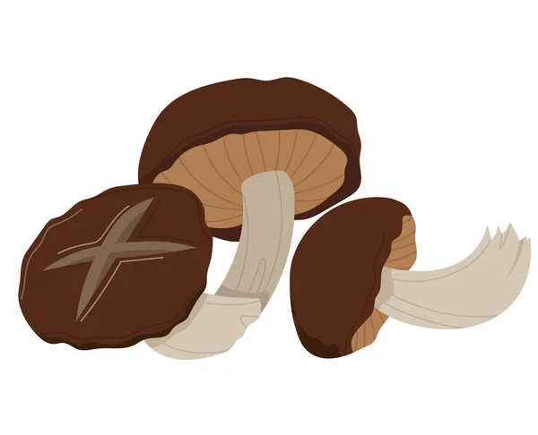 Foresta di funghi, cibo autunnale, collezione di funghi, ingrediente bianco più scuro isolato su bianco, disegno, illustrazione vettoriale in stile piatto — Vettoriale Stock
