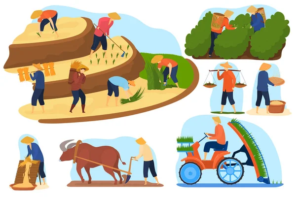 Asian farm rice fields vector illustration set, cartoon flat farmer people work on terraced agricultural rice plantations — Vettoriale Stock