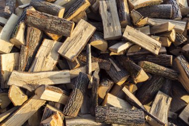 Kışa hazırlanan çeşidinde üzerinde erken Don