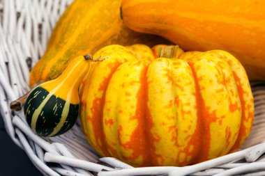 Birkaç balkabağı beyaz sepet içinde yalan söylediğini ve salyangoz üstlerine tırmanıyor