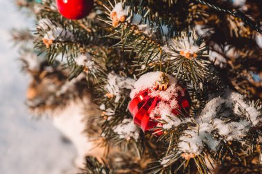 Renkli oyuncaklar Noel ağaç ve dal üzerinde kar taneleri