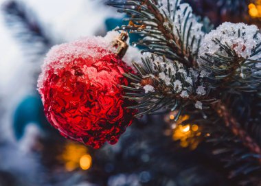 Renkli oyuncaklar Noel ağaç ve dal üzerinde kar taneleri