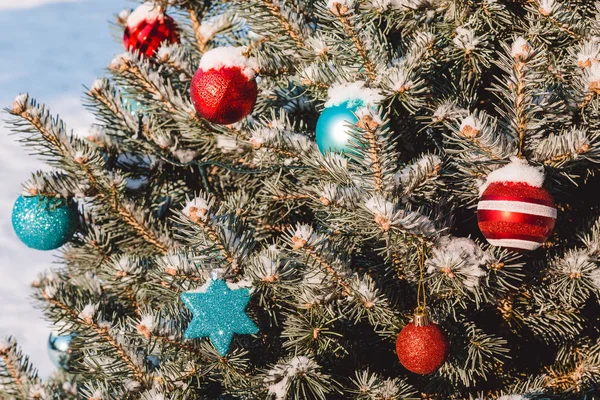Renkli oyuncaklar Noel ağaç ve dal üzerinde kar taneleri
