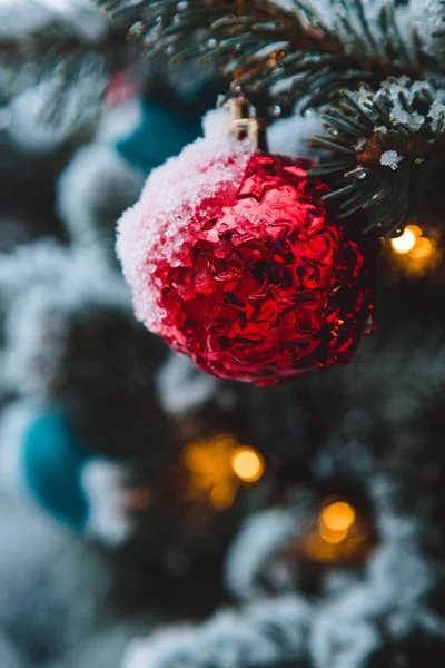 Renkli oyuncaklar Noel ağaç ve dal üzerinde kar taneleri