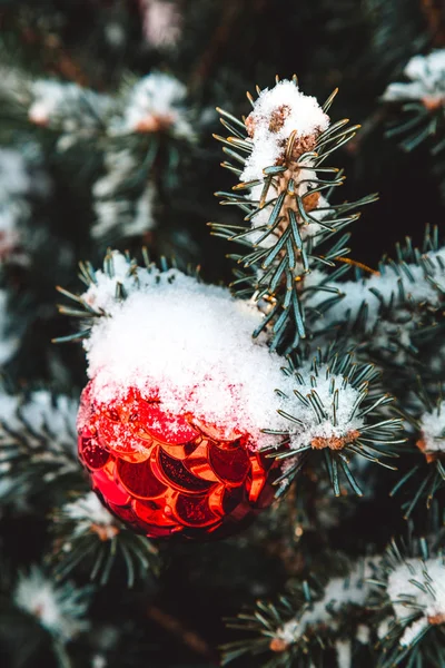 Renkli oyuncaklar Noel ağaç ve dal üzerinde kar taneleri