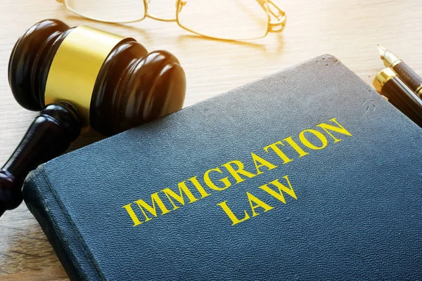 法院的移民法和木槌 — 图库照片