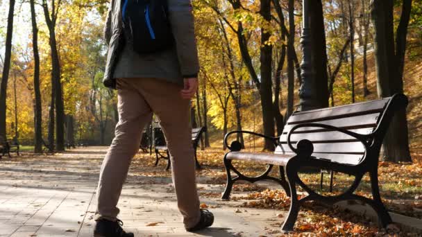 在秋天的公园里 背着背包的年轻人坐在长凳上 — 图库视频影像