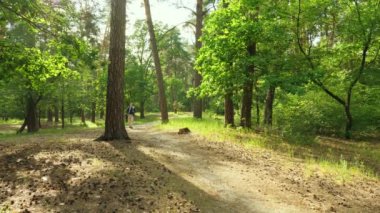 Bir orman yolu Smartphone'da Navigator uygulaması kullanan adam.