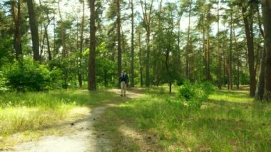 Erkek bir orman yolu üzerinde yürür. Yaz veya bahar zamanı. 