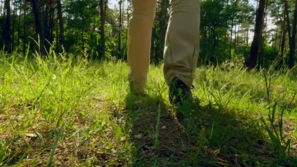 Hombre Con Ropa Casual Está Caminando Sobre Una Hierba Bosque — Vídeos de Stock