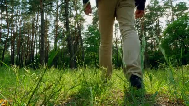 Giovane Uomo Cammina Attraverso Foresta Estiva — Video Stock