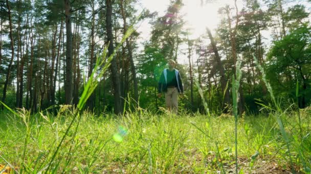 Escursionista Sta Camminando Erba Attraverso Foresta Una Giornata Sole — Video Stock