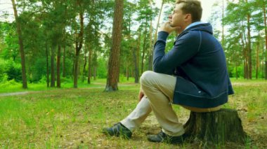 Turist ormanda rahatlatıcıdır. Bir güdük oturur. Güneşli woodland.