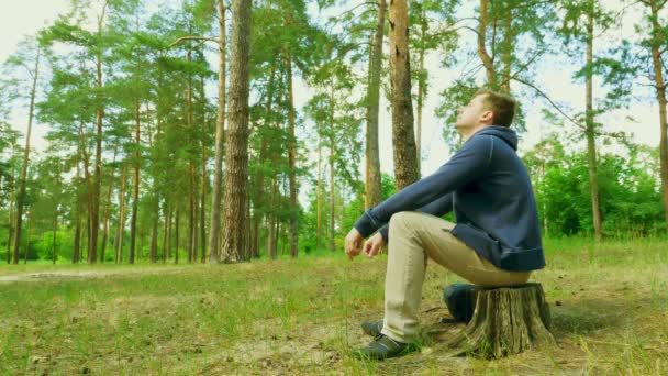 Człowiek Odpoczynku Siedzi Pniu Lesie Relaks — Wideo stockowe