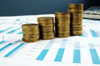 Kar büyüme. Sikke ve işle ilgili belgeleri yığınları. Yatırım fonu.