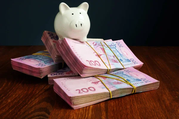 ウクライナの貯蓄の象徴としてフリヴニャのウクライナの紙幣のピギー銀行. — ストック写真