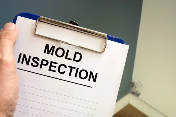 Documents about mold inspection with clipboard. — Stock Photo, Image