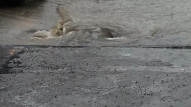 Sular altında kalan şehir caddesindeki su bir fırtına kanalına akıyor.