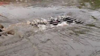 Kanalizasyon şiddetli yağmurda çöple tıkanmış. Sular altında kalan sokak.