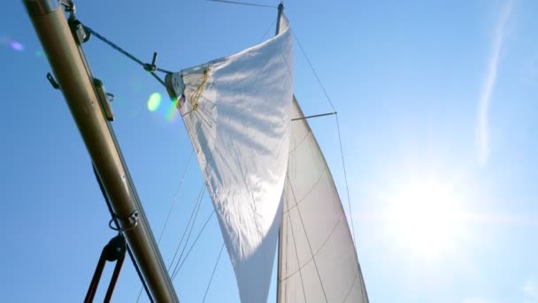Voiles blanches contre le ciel bleu et le soleil .