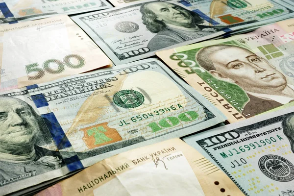 Ukrayna Döviz dolar ve Grivnası nakit.