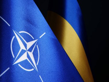 İşbirliğinin sembolü olarak NATO ve Ukrayna bayrakları.