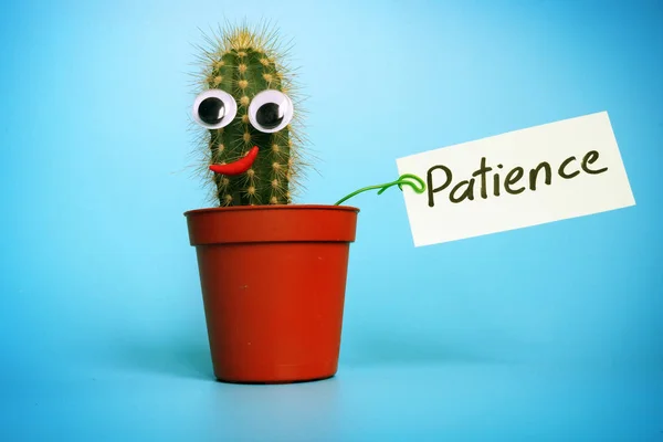 Pequeño cactus sostiene signo Paciencia . — Foto de Stock