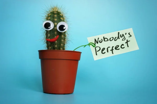 Funny cactus with sign Nobody is perfect. — Stock Photo, Image