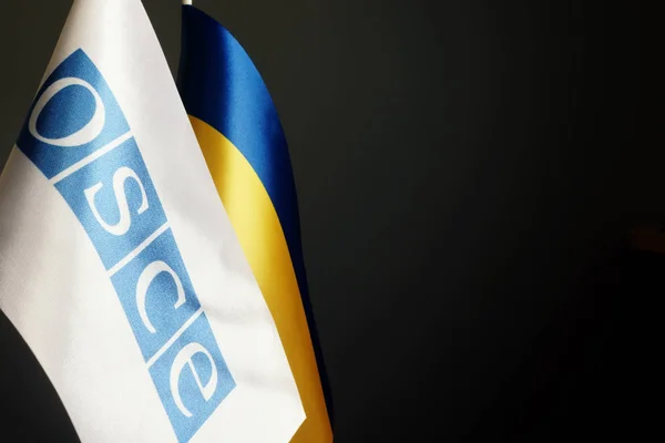 Les drapeaux de l'OSCE et de l'Ukraine dans le noir . — Photo