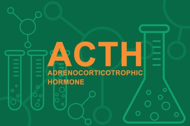 Acth Adrenokortikotrofik hormon ayrıca adrenokortikotropin, kortikotropin ve test tüpleri.