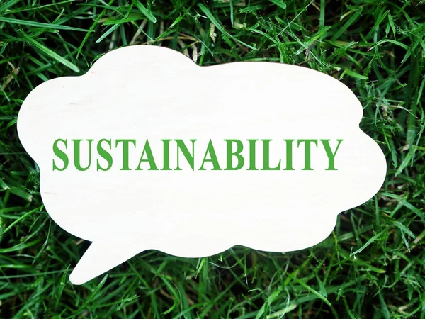 The word sustainability on a small board lying on the green grass. — Stock Photo, Image