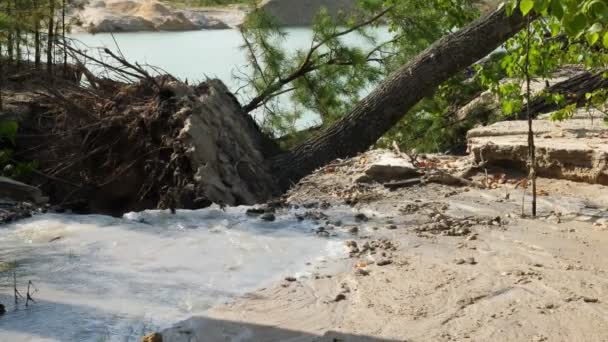 Strumień wody zmył ziemię i powalił drzewo. Powodzie i klęski żywiołowe lub katastrofy technogenne. — Wideo stockowe