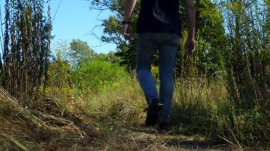 Yazın yaprak döken bir ormanda yürüyen bir adam. Yürüyüş ve yürüyüş..