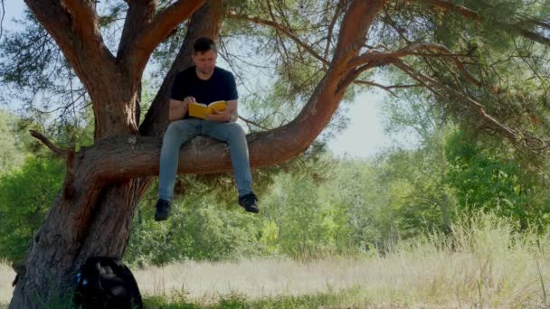 Мандрівник сидить на гілці дерева і читає книгу. Літні канікули та туризм . — стокове відео