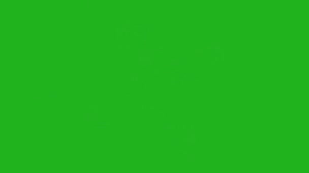 Lichtstrahlen Bewegungsgrafik Mit Grünem Bildschirmhintergrund — Stockvideo
