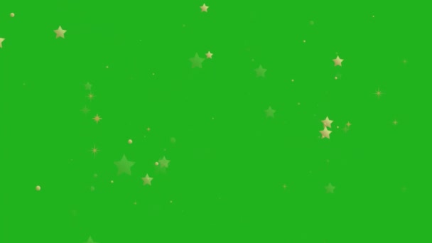 Estrelas Brilhantes Movimento Gráficos Com Fundo Tela Verde — Vídeo de Stock