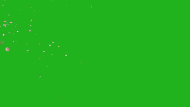 落花花瓣运动图形与绿色屏幕背景 — 图库视频影像