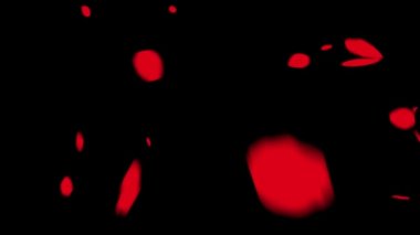 Düşen gül yaprakları hareket grafikleri ve gece arkaplanı