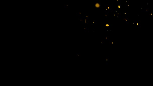 夜を背景に金粒子の動きのグラフィックを落下 — ストック動画
