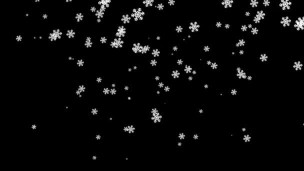 Falling Snow Flakes Motion Graphics Night Background — Stock Video