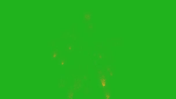 Fireworks Motion Graphics Green Screen Background — Stock Video